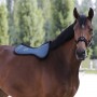 Compensatore Equestro Memory Foam Logo GIallo